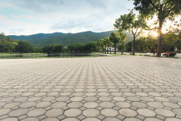 Best Custom Driveway Pavers  in Vero Lake Estates, FL