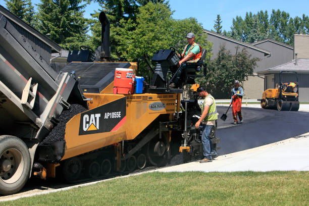 Best Professional Driveway Pavers  in Vero Lake Estates, FL